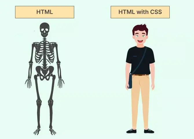 HTML CSS Difference